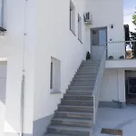 Andrea - - Free Parking