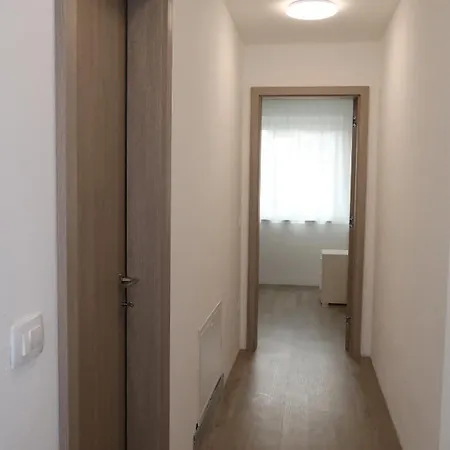 Apartment Andrea - *